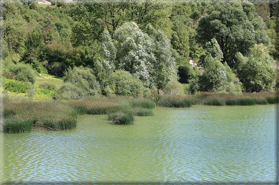 foto Lago di Terlago